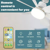 Ceiling Fan with Remote Control LED Light